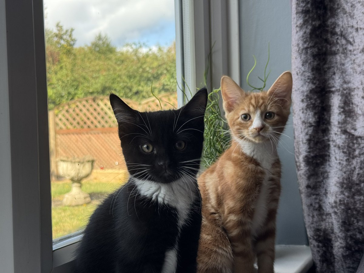 Mike Overton tweet media