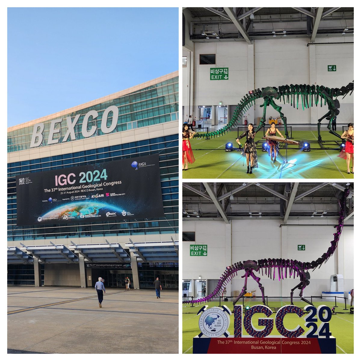 #IGC2024 is on! The IAMG is at booth E24, come and say hi