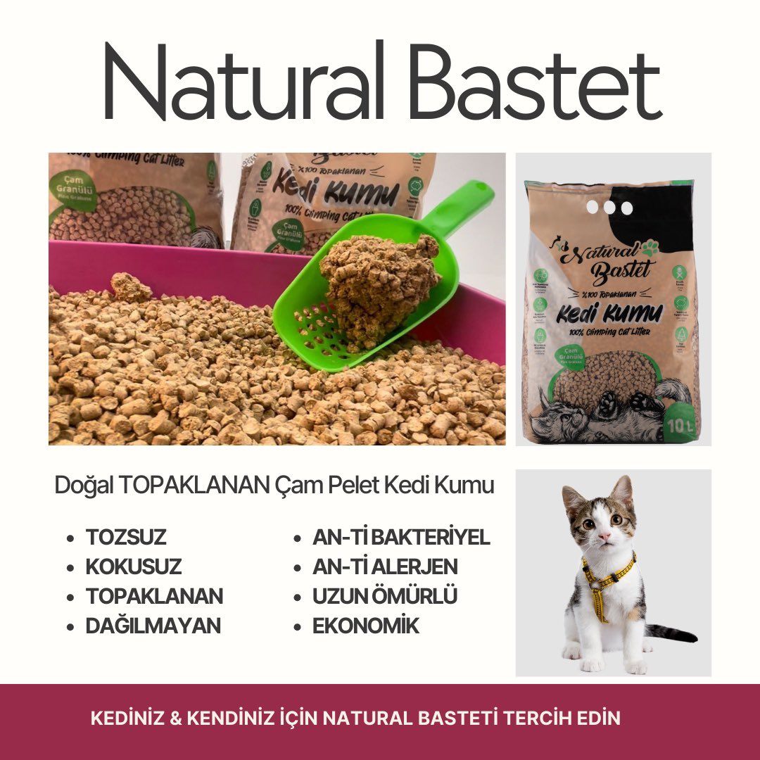 Sizin kedi kumunuz da biz olalım 🐾