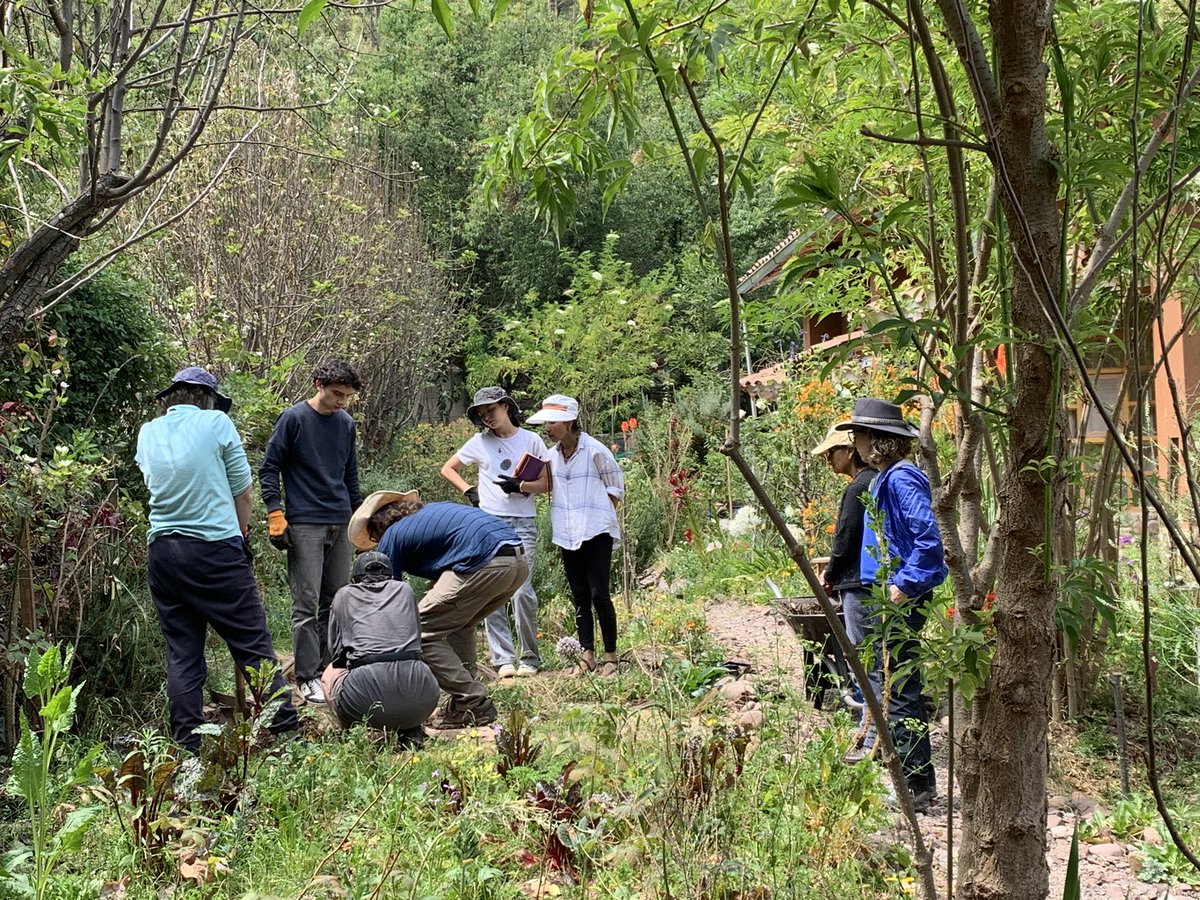 sceva271's tweet photo. This weekend I went to an #agroecology workshop to learn how to take care of our #soil when we plant our food as well as the life above ground https://t.co/TZNBRnwLLE