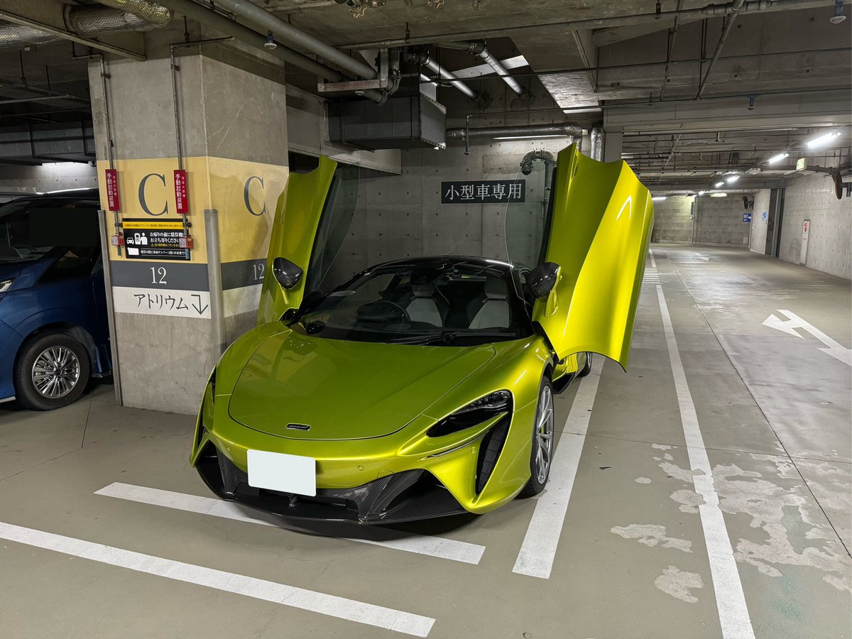 ジャガーを目指すトイプードル tweet media