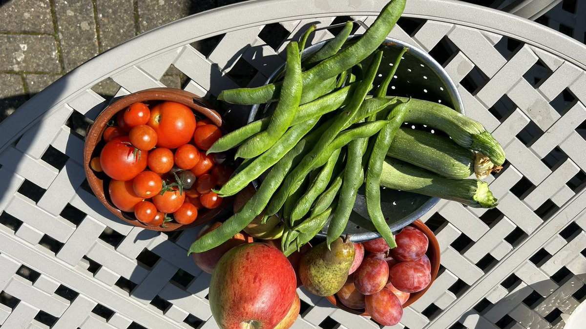 fruitsleeves's tweet photo. Busy afternoon
#Tomatoes
#plums, #runnerbeans #apples #pears https://t.co/ahAJMTx1cz