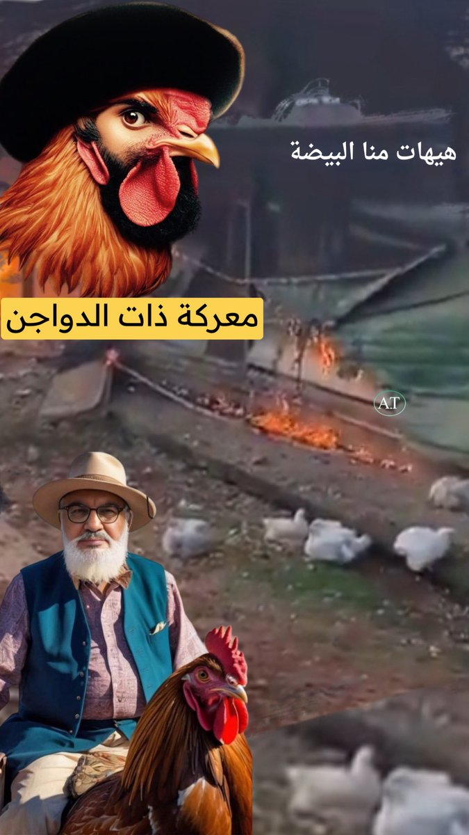 معركة .. ذات الدواجن