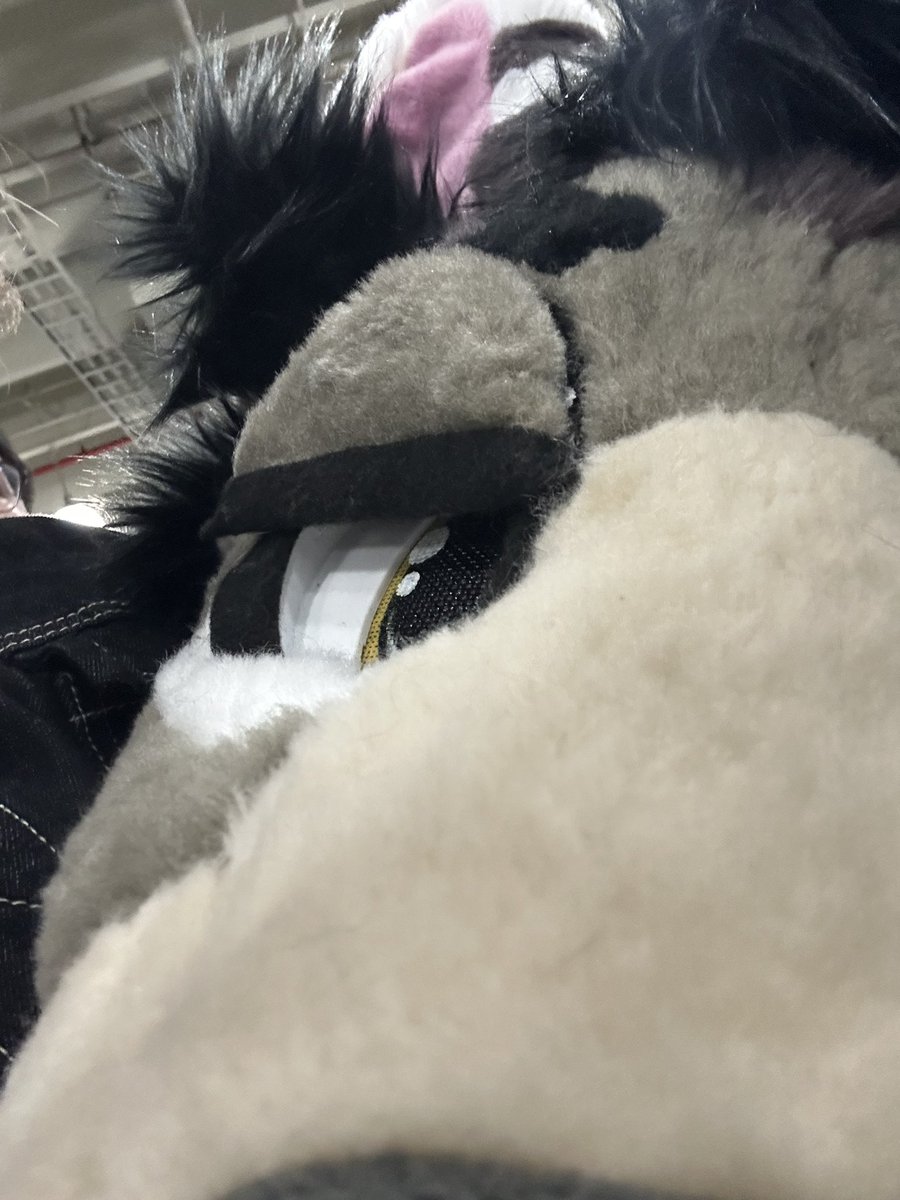 Ghøstwere (Deleted Acc) tweet media