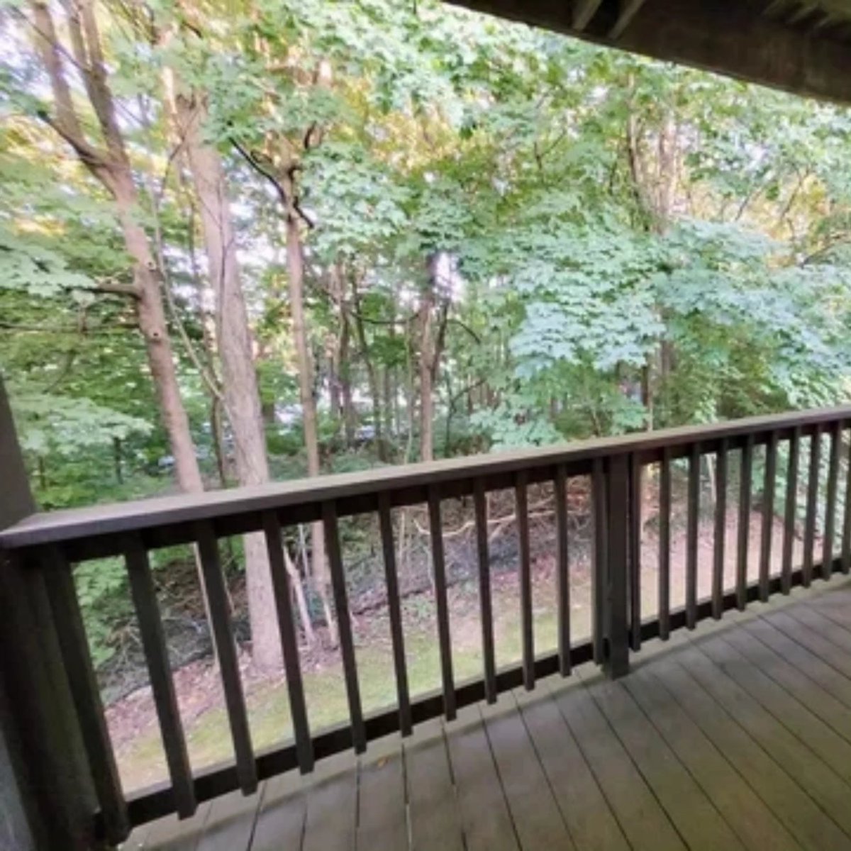 petertesta's tweet image. JUST LISTED! 25 Padanaram Rd #41, Danbury, CT $230,000 1 Bedroom end unit in North Ridge. Listed by Peter Testa with Kiwi Homes. For more information or to schedule a showing contact me direct at 203-442-3873 PETERTESTA.com #ctrealestate #danbury #ctrealtor #danburyct