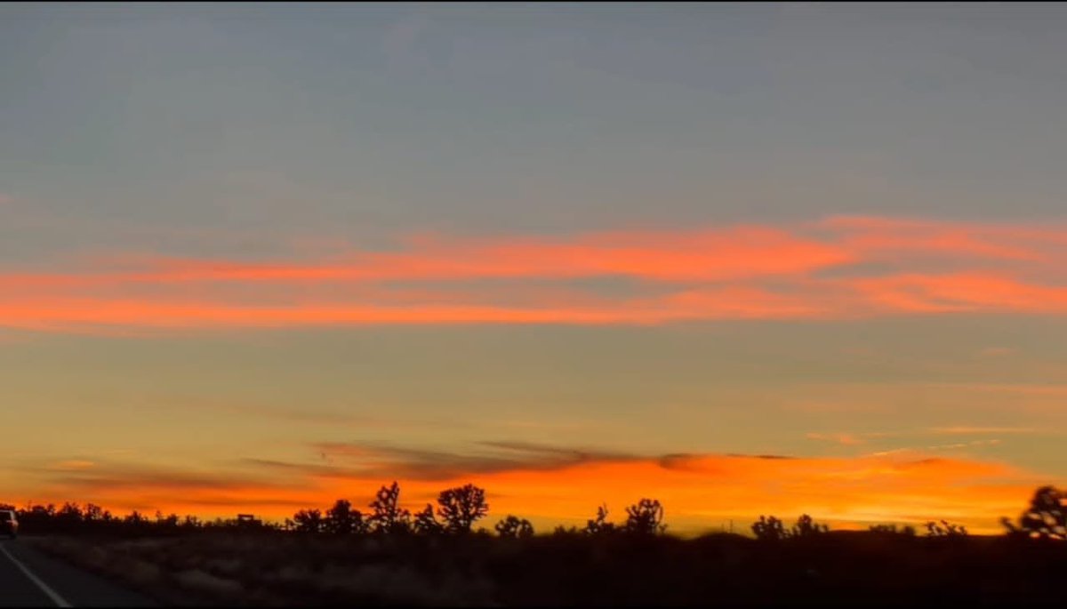 Visual Shots Community tweet media