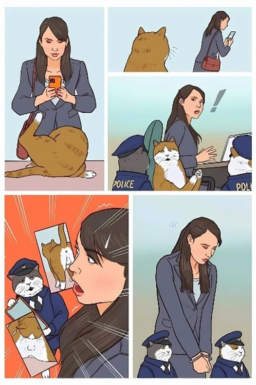 🐹Indie game（Cat lover）Indie game developer (@tomjerry3134805) on Twitter photo 