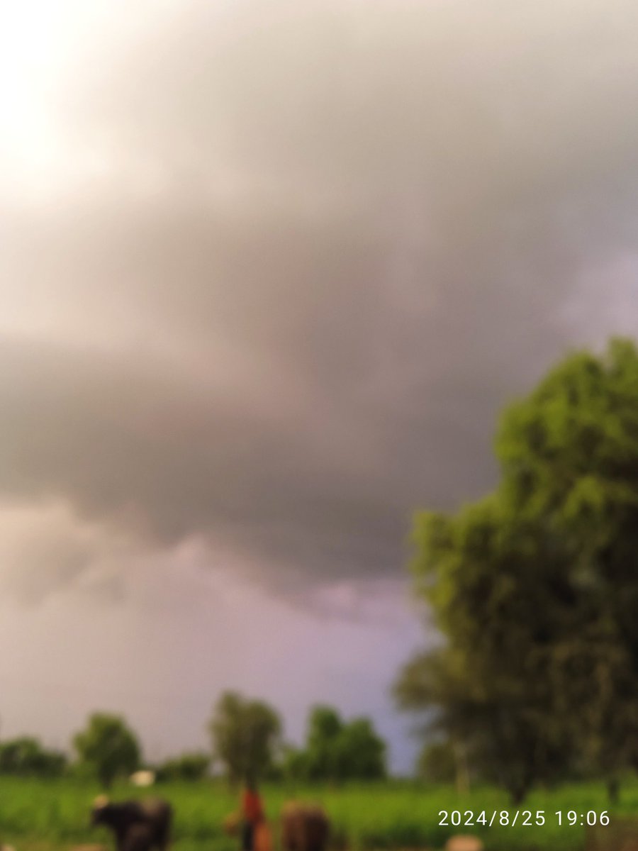 LaxmanTarad's tweet photo. #Khinvsar Today morning to heavy to #veryheavy speel of whole day
Dense #Lighting ⚡⚡ with Cloud sound
very beautiful clouds 👇
#Jodhpur #Bikaner #Nagaur
#HeavyRain #RainyDays
#Flash https://t.co/V9iKwYo1Aa