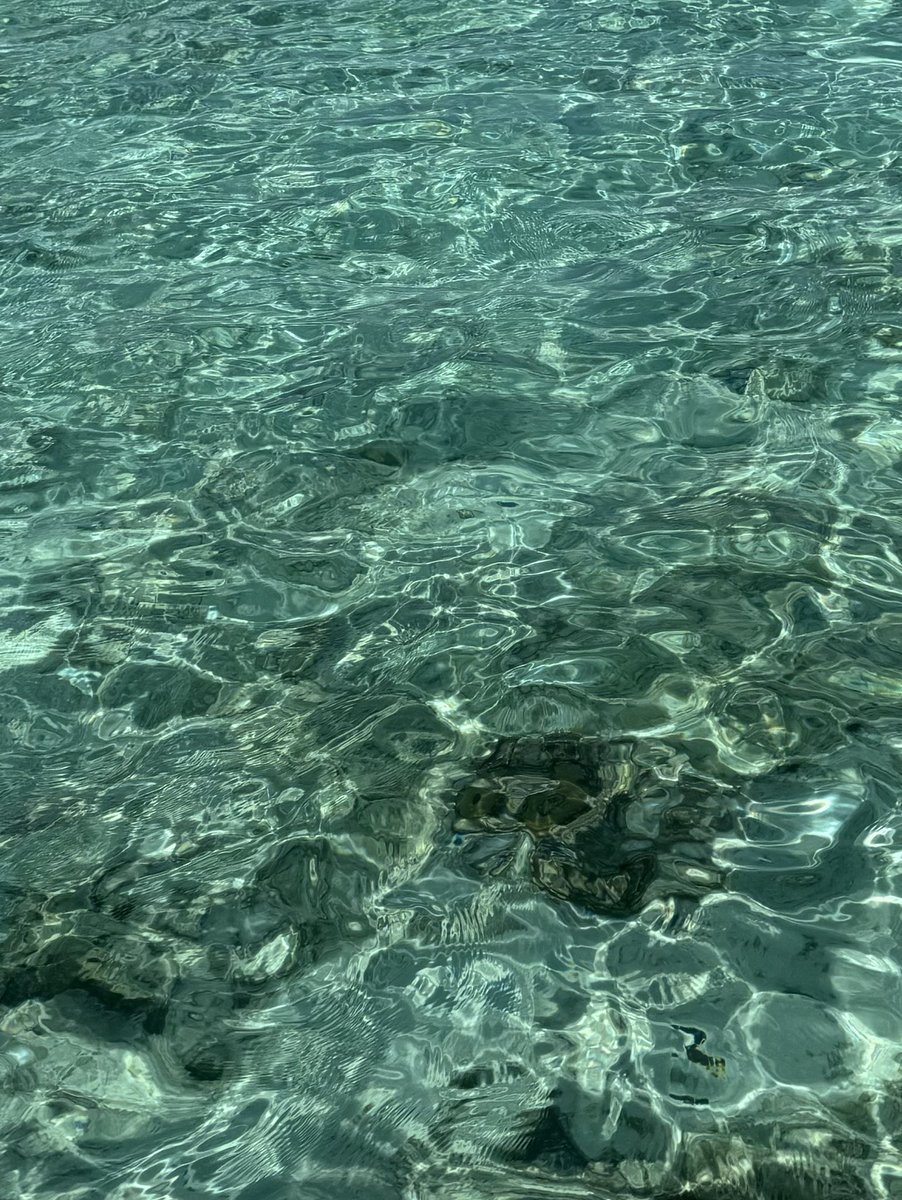 ขอบคุณทาง มามิ และทีมงานทุกคน ที่สานฝันไปถึง Maldives ขอบคุณพี่ๆด้วยนะครับที่มาทริปครั้งนี้ เก็บความทรงจำดีๆด้วยกัน จะบอกว่าสนุกกมากกกก รักนะครับ ไว้เจอกันใหม่ครับ 🖤  ขอบคุณพี่ๆที่บ้านด้วยนะครับที่ติดตามและพูดคุยผ่านsocial 🖤 #MAMIxNetMaldives