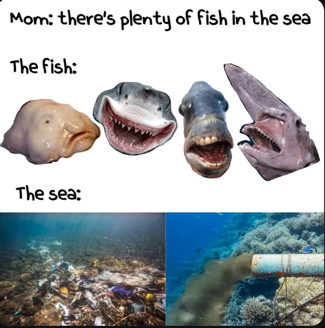 SueHappy3's tweet image. 😒 #justforgetit