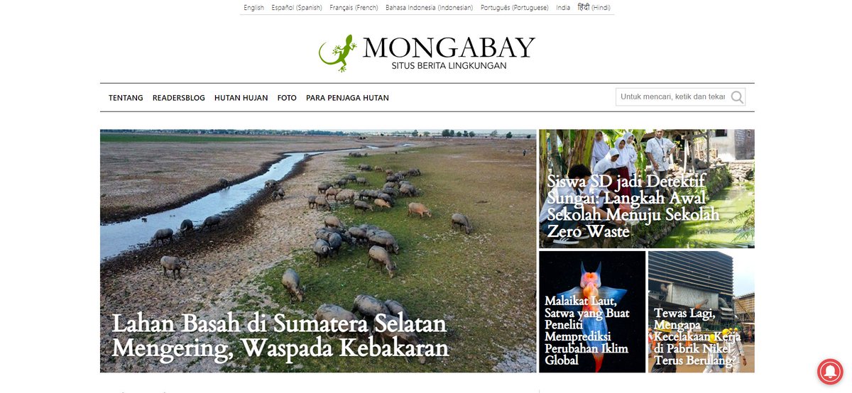 girlsbeyond_id's tweet photo. Udah saatnya kamu jadiin hobi nulis kamu ladang cuan di 🤩 5 website freelance Indonesia khusus writers 🤩

Like &amp; retweet biar bisa jadi freelance writer!! https://t.co/5t3dXrPr4y