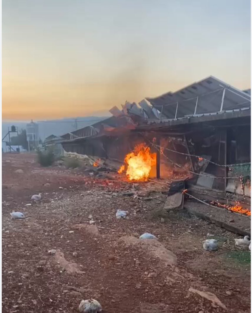 Adhwan's tweet photo. حزب الله استهدف اسرائيل فجر اليوم، والضحايا دجاج. هذه حقيقة لا نكتة، الضحايا دجاج.

الصبر الاستراتيجي والحنكة والدهاء الإيراني دعاية إعلامية ألبسها التاج باراك أوباما حين كان يسمح بتمدد طهران في المنطقة مقابل الاتفاق النووي.

الرد على مقتل اسماعيل هنية باستهداف حظيرة دجاج! https://t.co/X6pupRvvFL