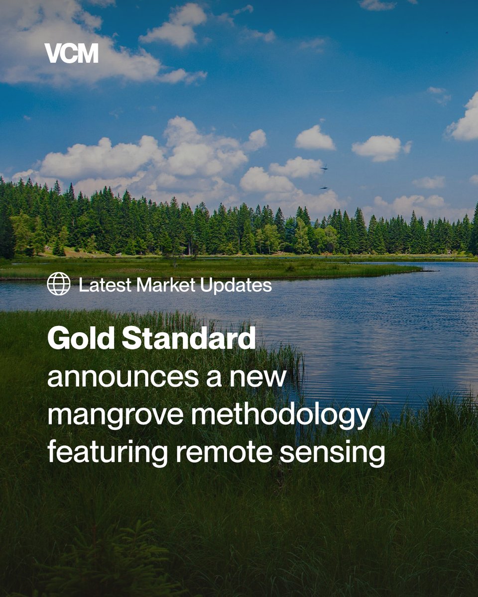 This week brought some notable developments in the global voluntary carbon market:

1. Gold Standard releases its first methodology to manage mangroves sustainably, accompanied by Blue Carbon and Freshwater Wetland Activity Requirements. 

Read more: goldstandard.org/news/new-mangr…