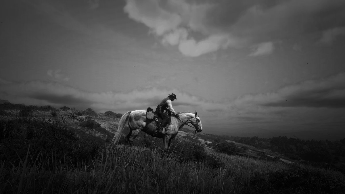 TigressRoaming's tweet photo. #Yeehawgust - Day Twenty-Five - Listen to the Wind Blow

#YeehawgustPrompts #Yeehawgust2024 #rdr2 #RedDeadRedemption2 #rdrtwt #rdr2twt #RockstarGames #videogames #horses #oldwest #horse #equine #virtualphotography #virtualphotographer https://t.co/B2Lz2QGY0Q