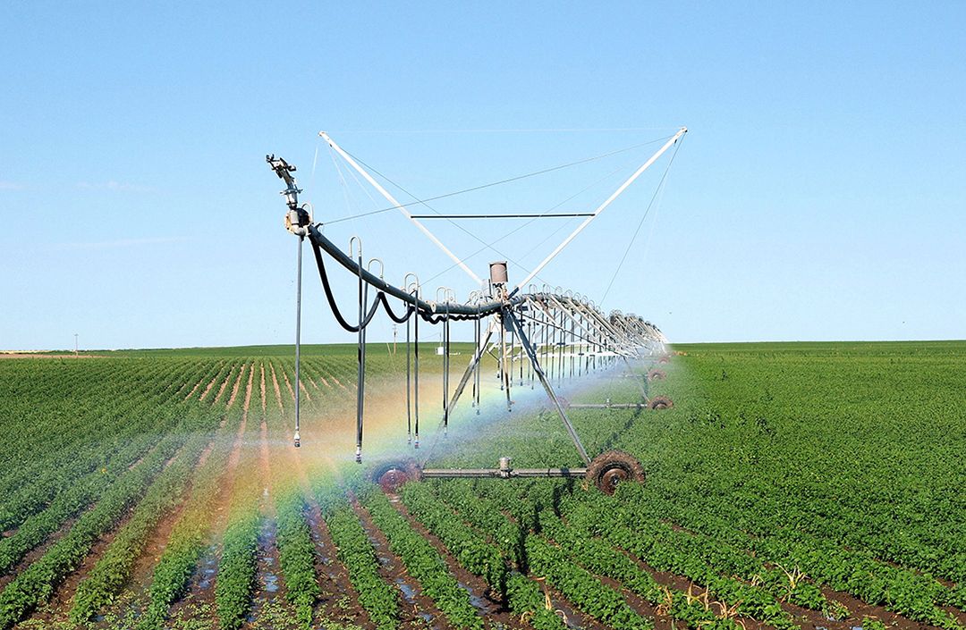 Nebraska CropWatch tweet media