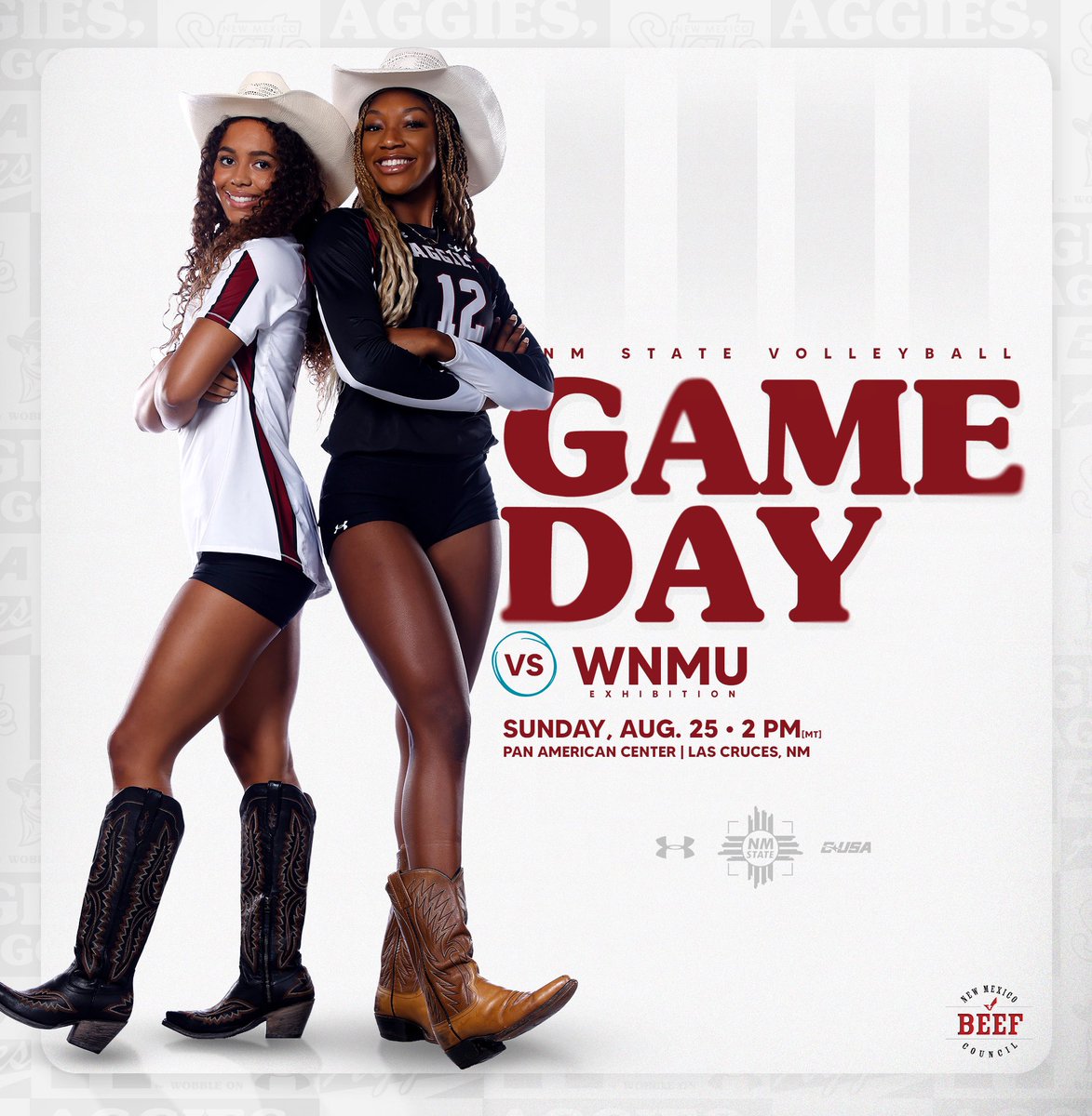 𝑽𝑶𝑳𝑳𝑬𝒀𝑩𝑨𝑳𝑳 𝑰𝑺 𝑯𝑬𝑹𝑬! 🤩

🆚 <a href="/wnmuvolleyball/">WNMU Volleyball</a> 
🕑 2:00 PM
📍 Pan American Center
📊 bit.ly/4cEwgAX

#AggieUp