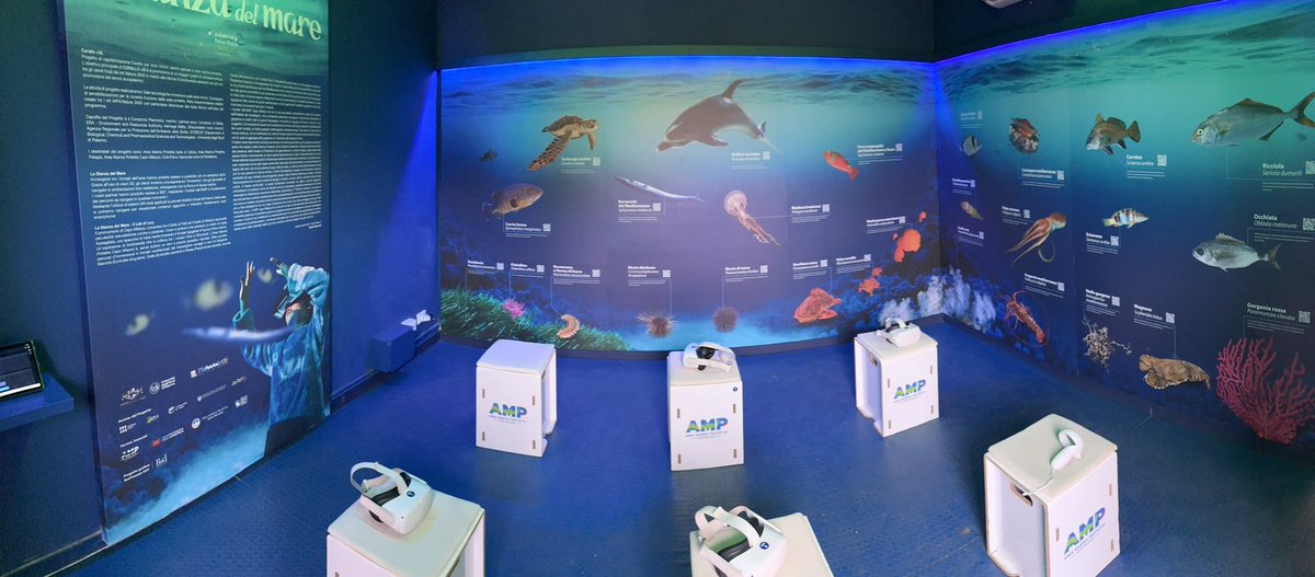 “Oggi ho visitato la stanza del mare dell’ #AreaMarinaProtettaCapoMilazzo . È stato bello vedere tanti turisti in fila per ammirare i fondali marini in realtà virtuale, ma ancora più bello è stato ricevere i complimenti alla fine dell’immersione.” 😊🌊 <a href="/comunemilazzo/">Città di Milazzo</a>