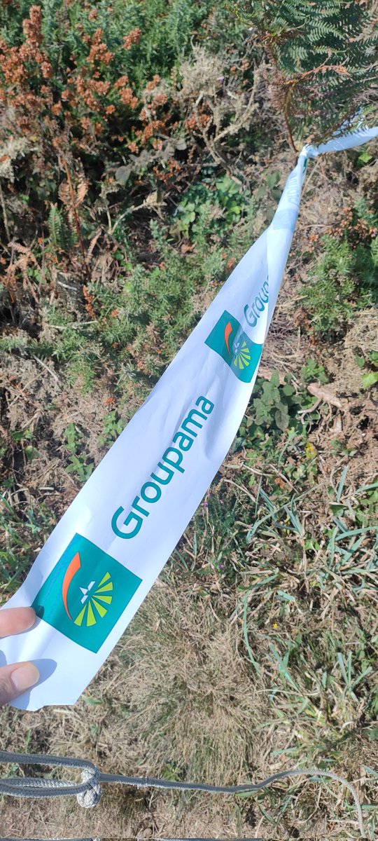 SICK SAD WORLD tweet media