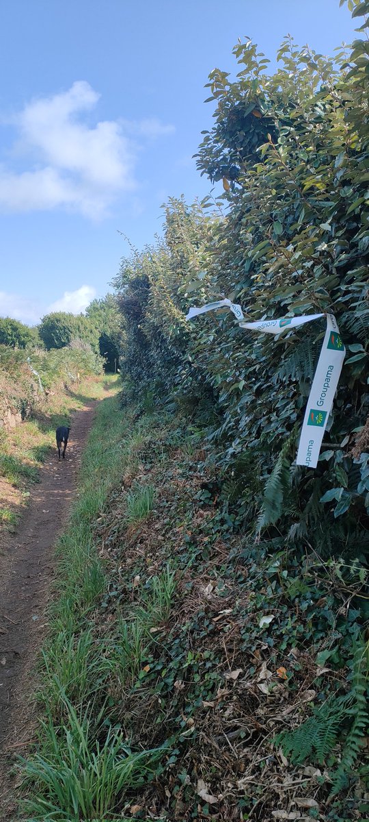 SICK SAD WORLD tweet media