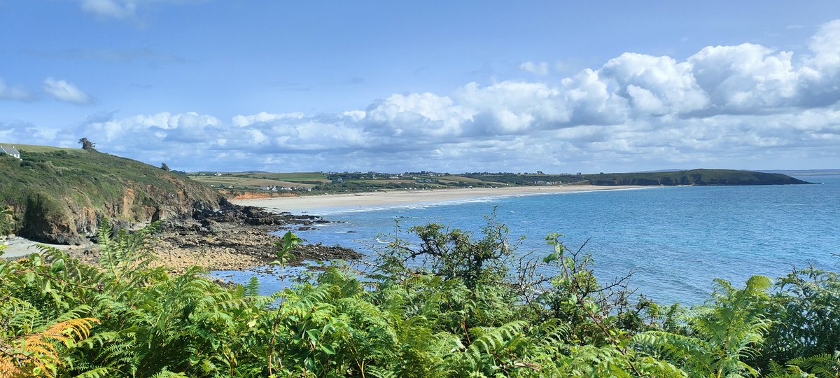 SICK SAD WORLD tweet media