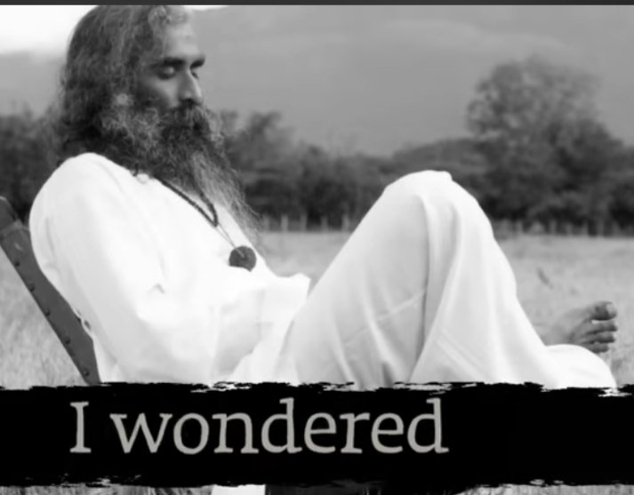 GabriellaCadei's tweet photo. Each line of #EternalEchoes feels like a revelation.
 Thank you, @SadhguruJV, for this gift. 🎁 

Explore it: https://t.co/8WocIPHpED https://t.co/2lNaTGEksS