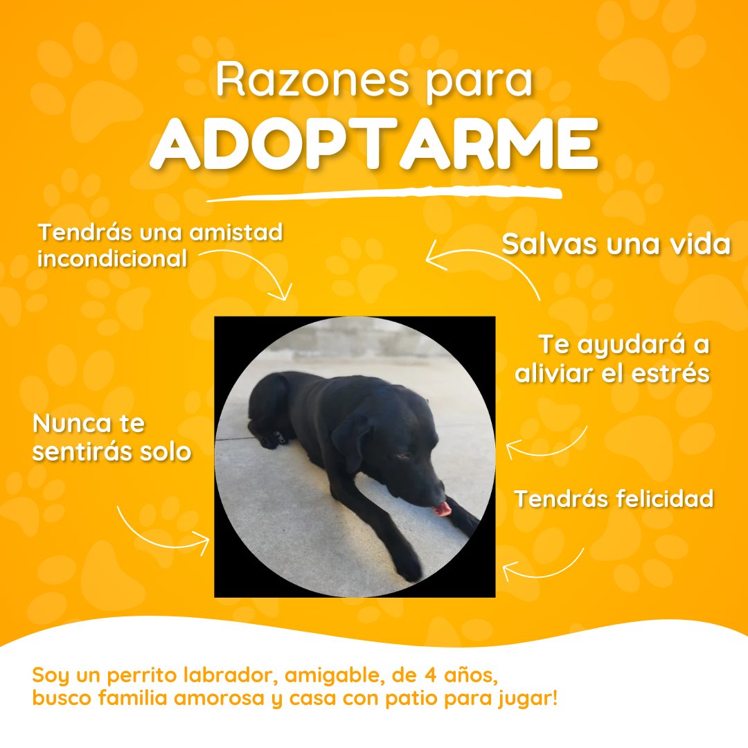lecommunis's tweet photo. Gracias gracias gracias !!! https://t.co/7AJh6Z7Y6H