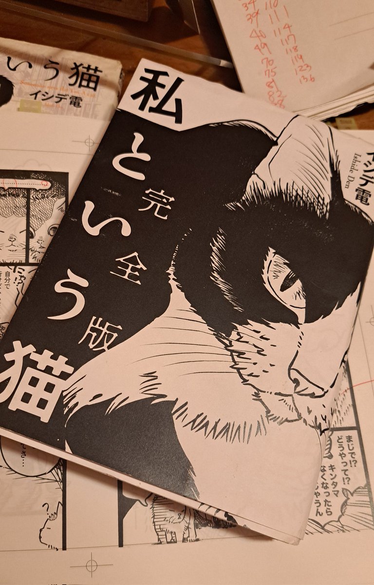 「私という猫」完全版。復刊作業大詰めにきているよ。
過去の私がボスでいまの私がアシスタント。
んま～このボスが偏屈で口下手なこと!なっかなか年寄りに心を開かないんだから! 