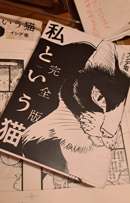 「私という猫」完全版。復刊作業大詰めにきているよ。
過去の私がボスでいまの私がアシスタント。
んま～このボスが偏屈で口下手なこと!なっかなか年寄りに心を開かないんだから! 