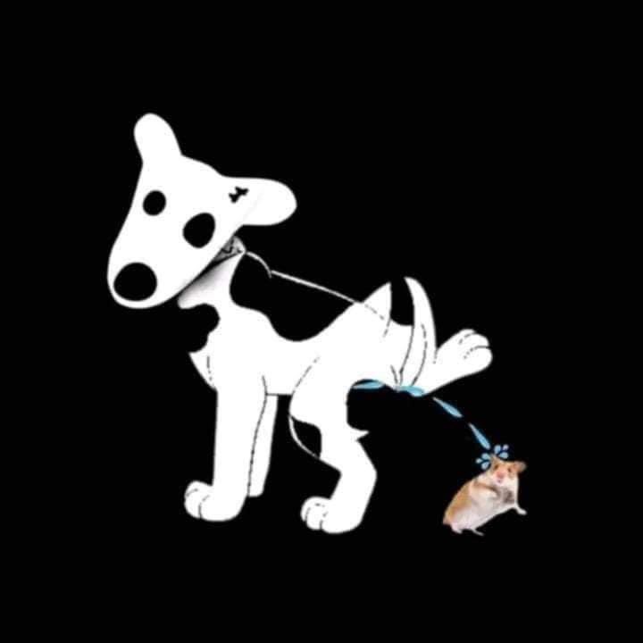 Chuyên mục khoe chó đi ae #dogs