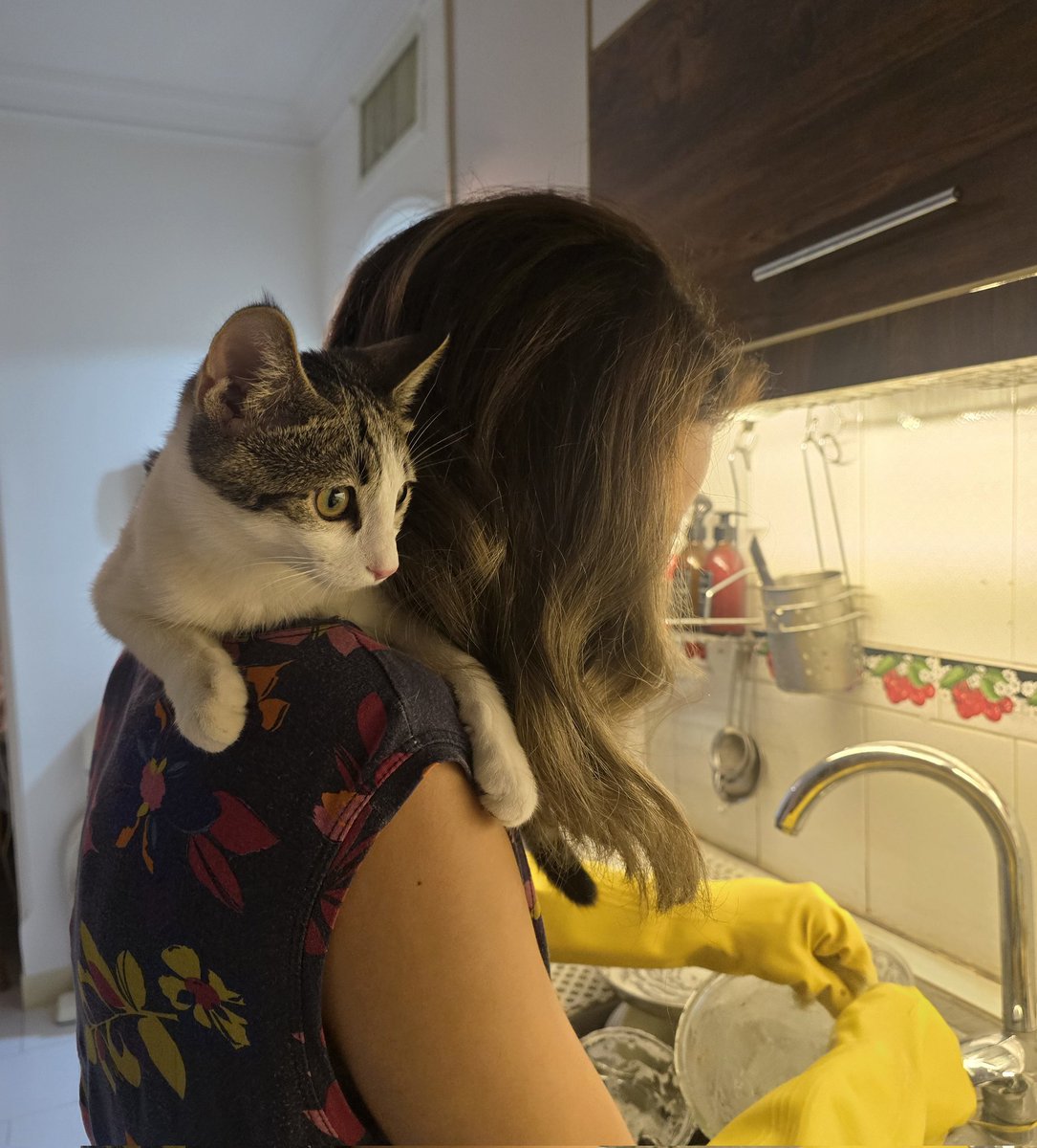 _sigynn_'s tweet image. وضعیت معمول هنگام ظرف شستن و غذا پختن.