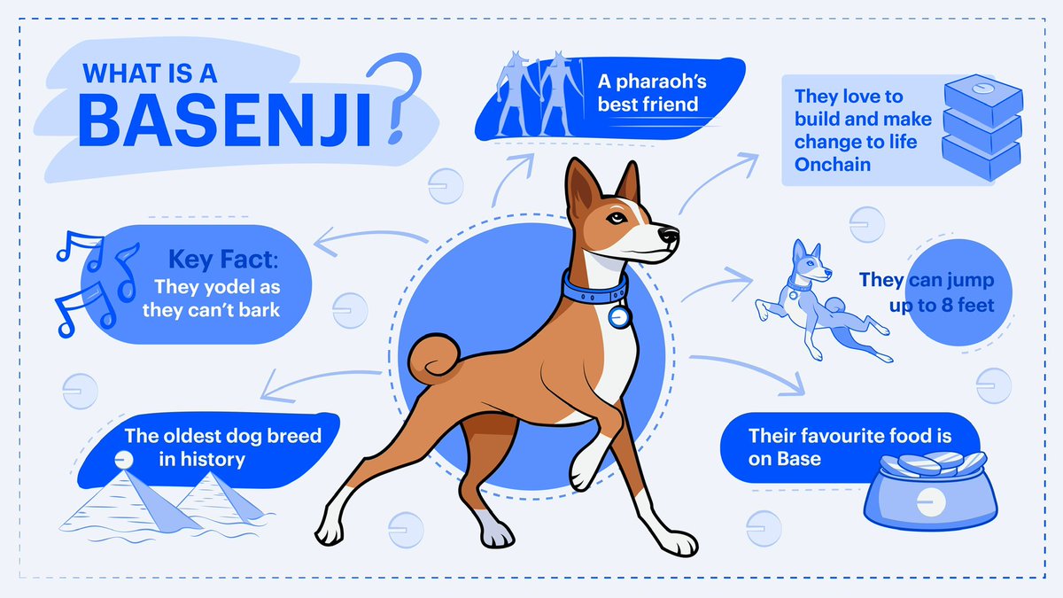 Basenjiofficial's tweet image. What is a Basenji? 

$BENJI