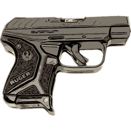 StoopidLiberals's tweet photo. @SaraCarterDC #WhyWeCarry https://t.co/VD7FwE9UOn