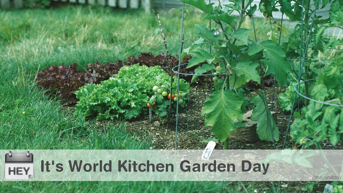 HeyWhatDay's tweet photo. It's World Kitchen Garden Day! 
#WorldKitchenGardenDay #KitchenGardenDay #KitchenGarden https://t.co/k3srZPXsq4