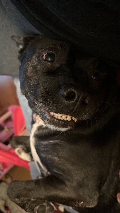 Peaches N. Cream’s pics and videos