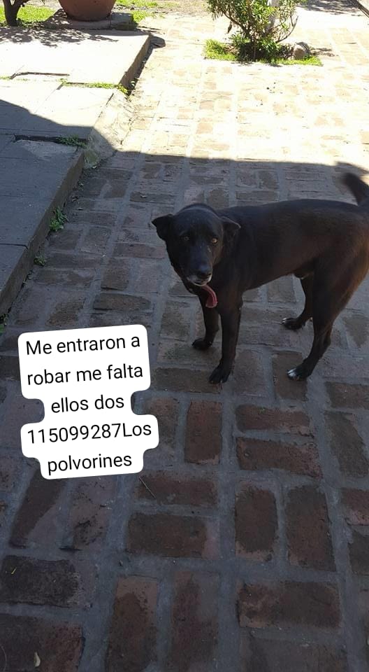 patripeyrou's tweet photo. Difundimos https://t.co/mBG4FFKRZb