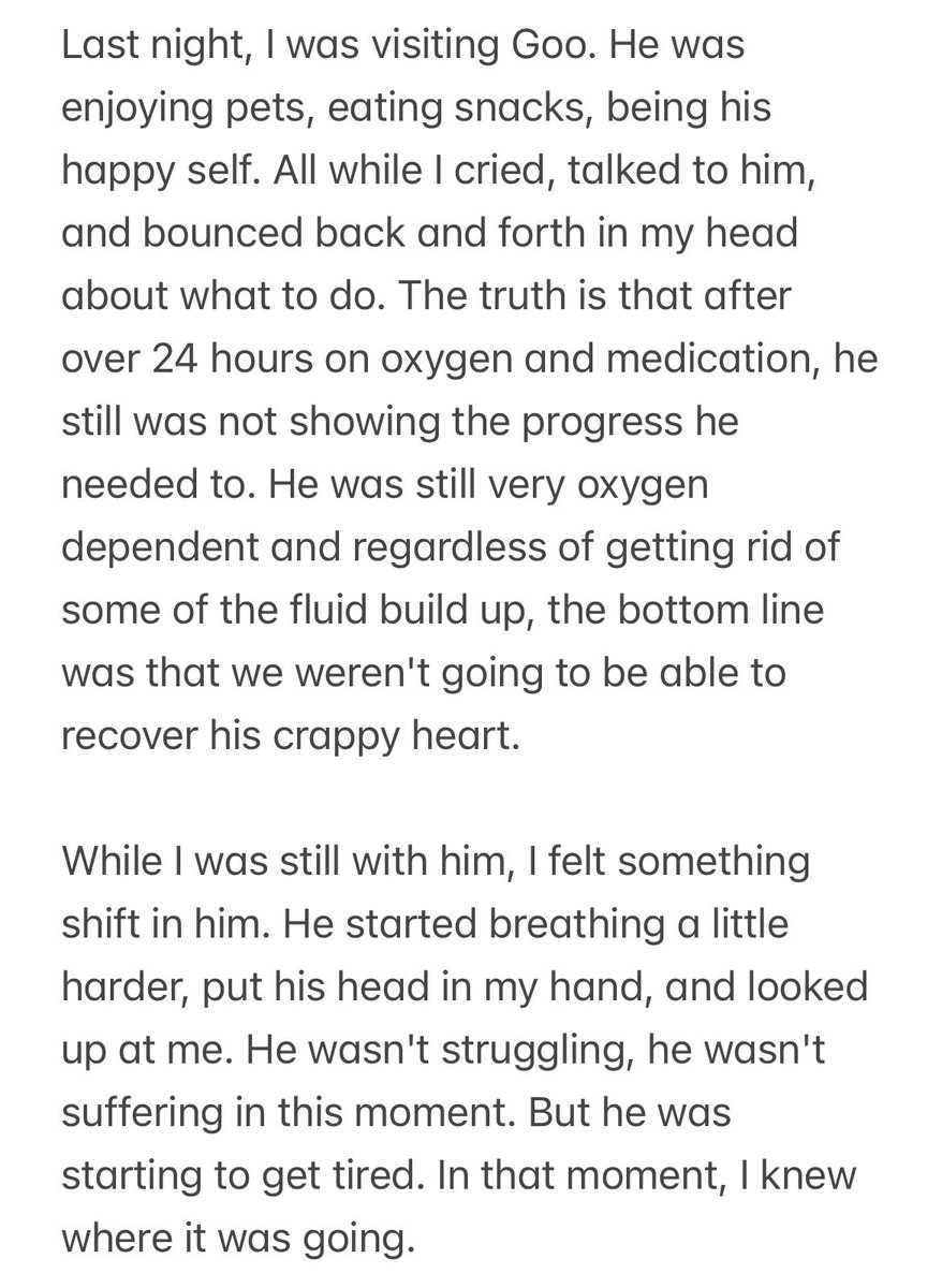 feederofcats's tweet image. I'm so sorry, everyone.