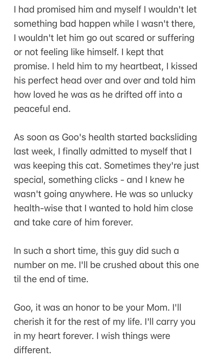 feederofcats's tweet image. I'm so sorry, everyone.