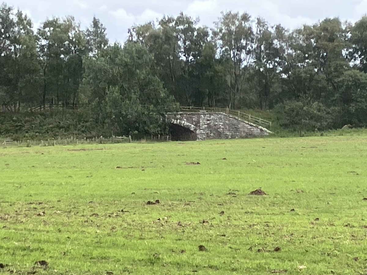 Today’s Tanney Toddle. The pretty Wannie Line walk, mid Northumberland