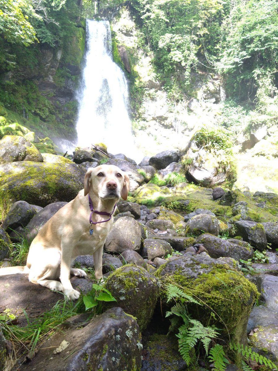 Tattsuun1's tweet photo. Mountain area to escape hot summer https://t.co/6pza238anZ