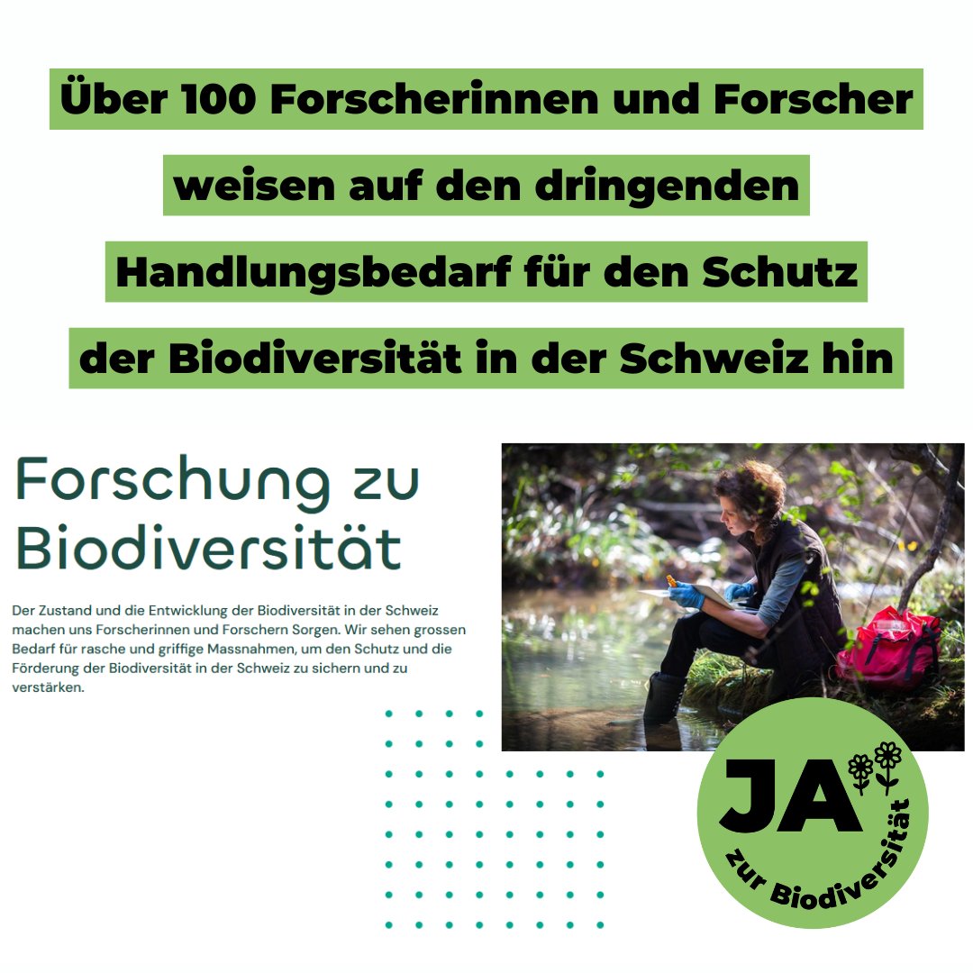 Heute haben sich über 100 führende Wissenschaftlerinnen und Wissenschaftler zum alarmierenden Zustand der #Biodiversität in der Schweiz geäussert: bit.ly/3ACJUrj. Weitere Unterstützerinnen und Unterstützer können sich hier eintragen: bit.ly/3Mncr6J
