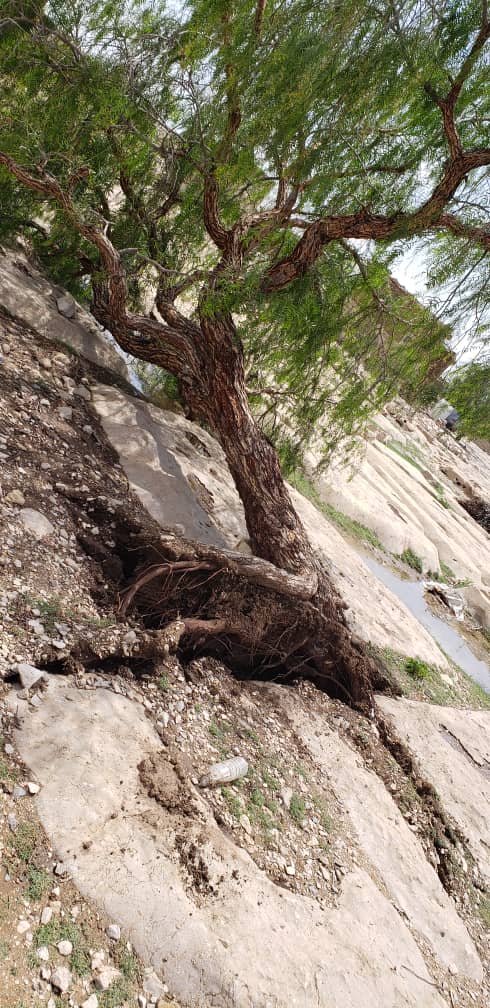 اظرارنتيجة العواصف ارعديه التي ظربت #محافظة_صنعاء_مديرية_ارحب <a href="/SqrmqblF60708/">صقر</a>