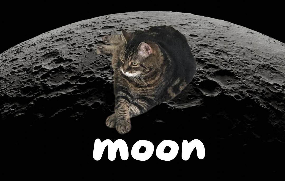 MoonCatARZ's tweet photo. @slingoor You a MOONer or what?
https://t.co/Tu8xmpdTEp https://t.co/YHOesgwoJq