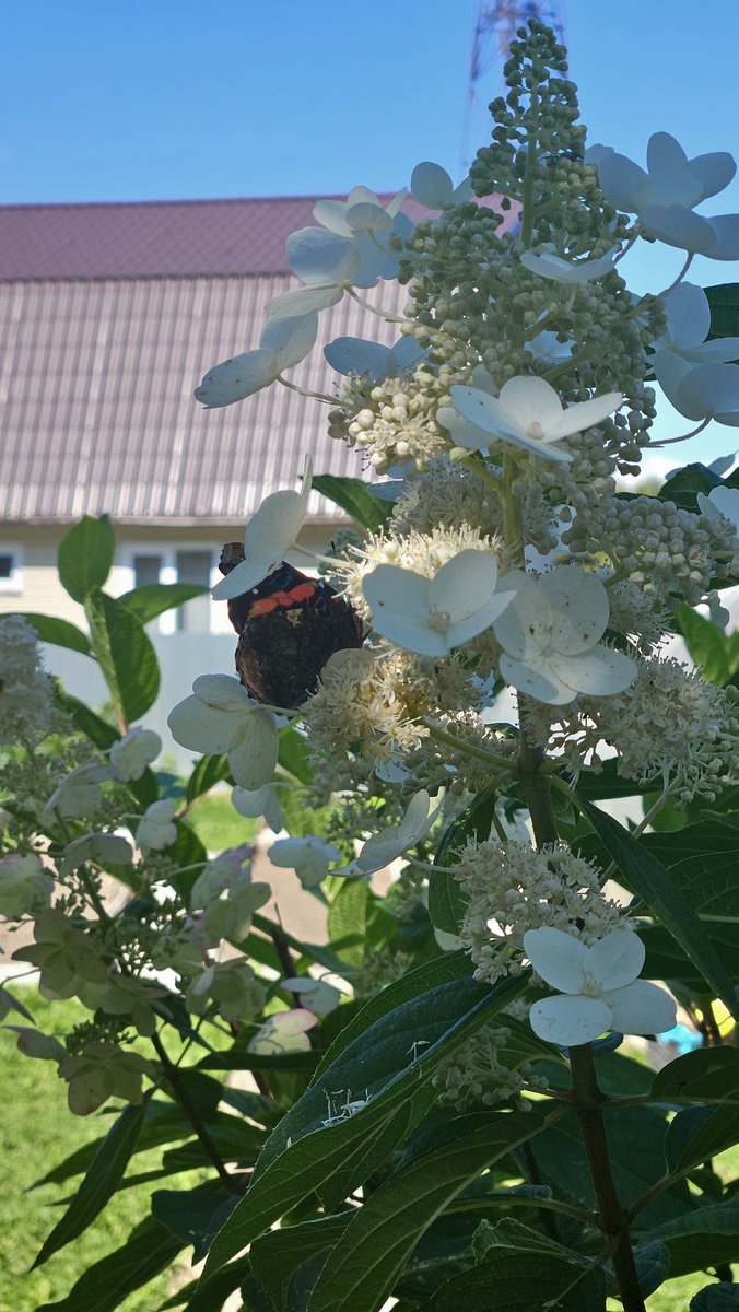 Valya Shink 🩶 (@valyashink) on Twitter photo 