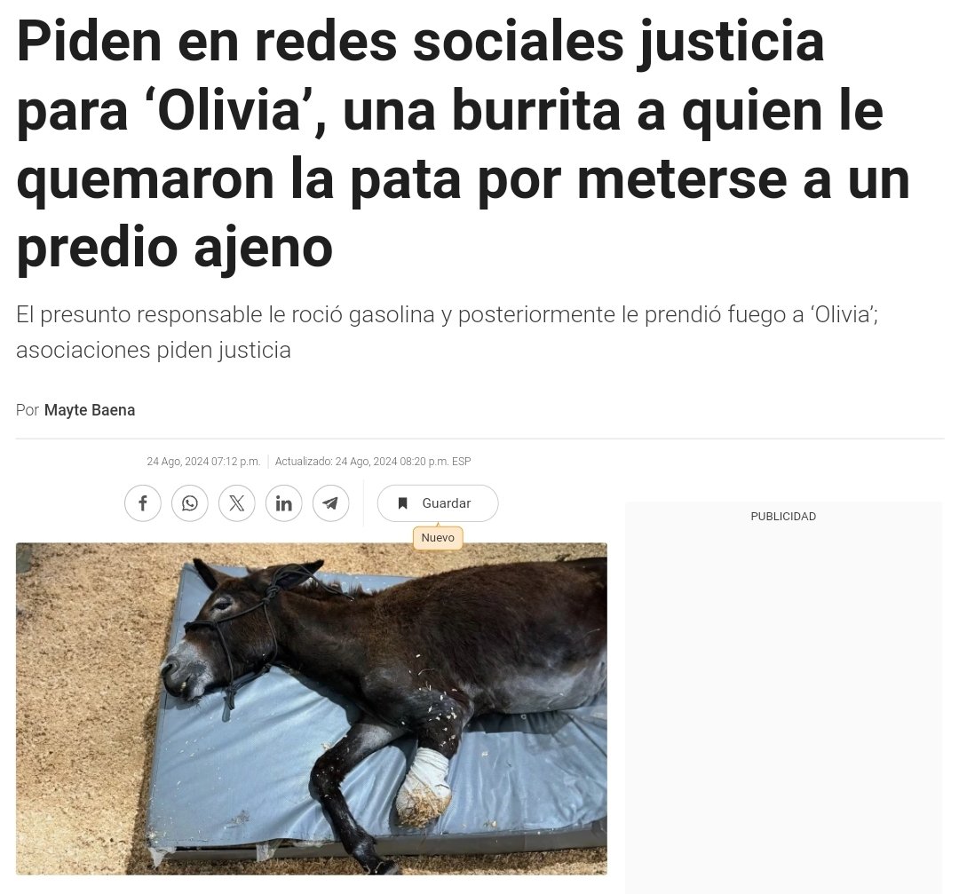 ruben_prz's tweet photo. Compartimos oxígeno con basura humana. https://t.co/sgsg0SElRb