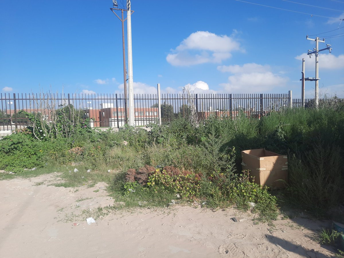 chiosoria's tweet photo. @Planoinforma Con quién reporto 6 cachorritos abandonados en  la Col. Tierra Blanca?
#BienestarAnimal del gobierno de @EF_Galindo aqui en San Luis me mandó a la goma, dice que eso no es con ellos!! Entonces que bienestar ven??? Ya tienen 5 días, en el 911 tampoco atienden eso 😢 #Ayuda https://t.co/TfLpZKcCf5