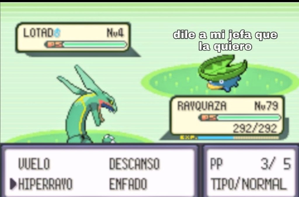 Carlengues (@pokecarlengues) on Twitter photo 