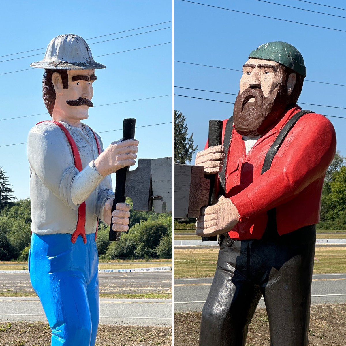 While on vacay in Olympic National Park, came across this. The Kelce Brothers? 😃 #GoBirds