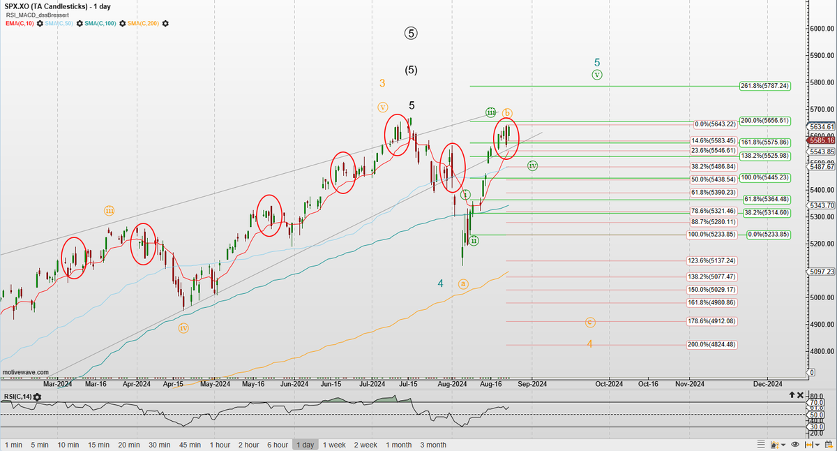 BraVoCycles Newsletter tweet media
