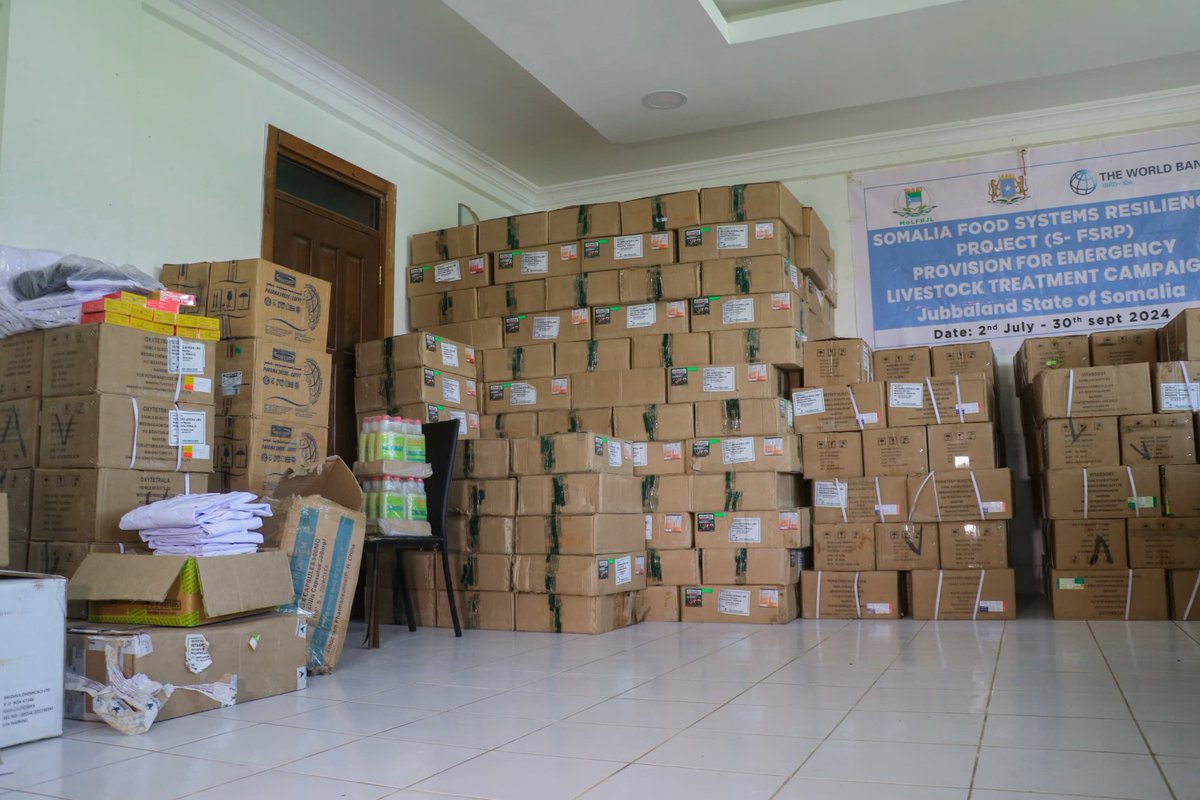 MOLFR JUBALAND State Of Somalia 🇸🇴 (@molfrjubaland) on Twitter photo molfr- Jubaland has received livestock drugs from the Ministry MOLFR (FGS). These drugs will support efforts to improve animal health and boost the livestock sector in Jubaland.
<a href="/S_FSRP/">Somalia Food Systems Resilience Project</a> <a href="/MoLFR_SO/">Ministry of Livestock, Forestry & Range - Somalia</a> molfr- Jubaland has received livestock drugs from the Ministry MOLFR (FGS). These drugs will support efforts to improve animal health and boost the livestock sector in Jubaland.
<a href="/S_FSRP/">Somalia Food Systems Resilience Project</a> <a href="/MoLFR_SO/">Ministry of Livestock, Forestry & Range - Somalia</a>