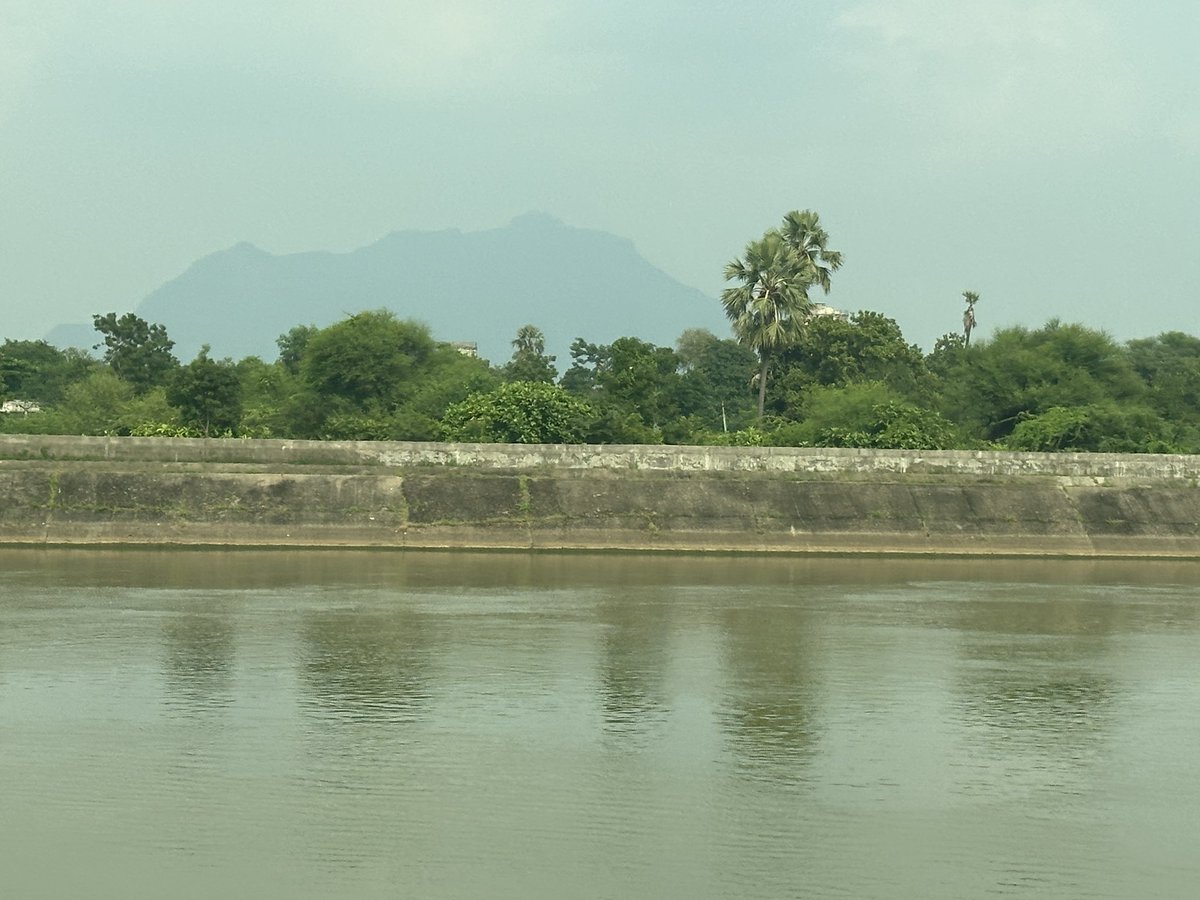 caninehandler's tweet photo. India was awesome. https://t.co/BVjmqiZAez
